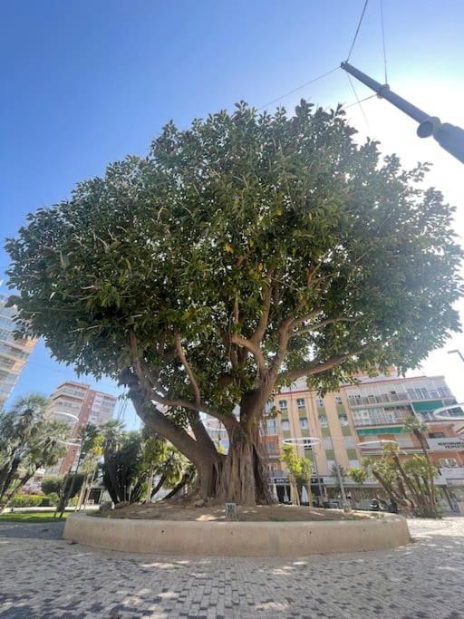 Inmejorable Ubicacion,70M Playa 70M Pueblo Daire Benidorm Dış mekan fotoğraf